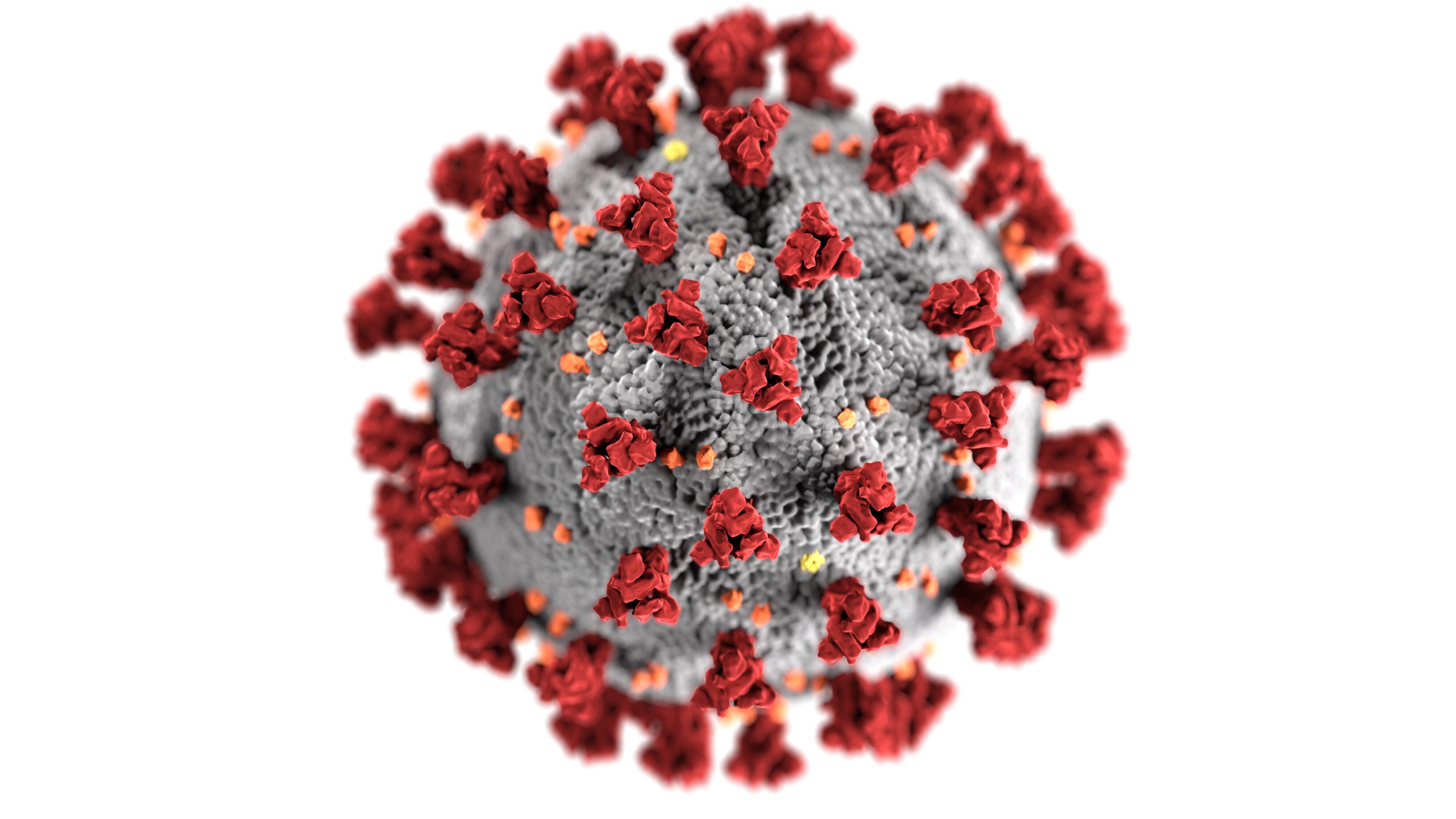 Image of the virus